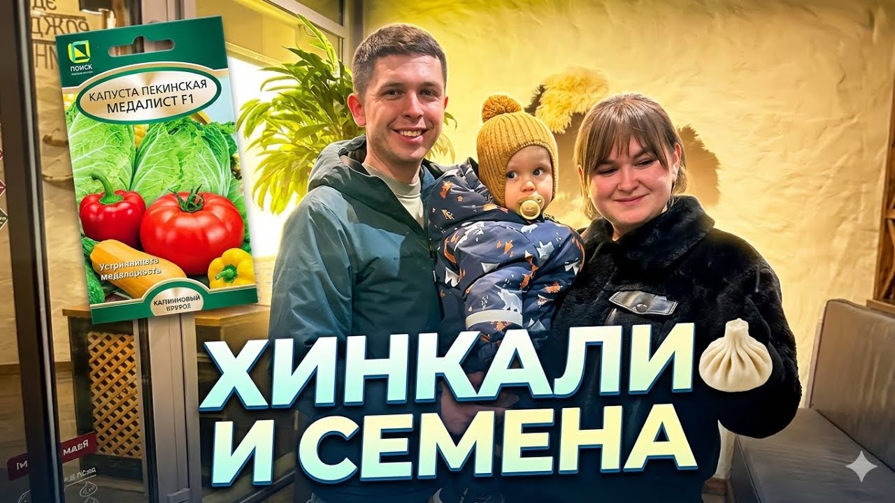 Какие семена будем сажать и зачем мне нужен был этот холодец?