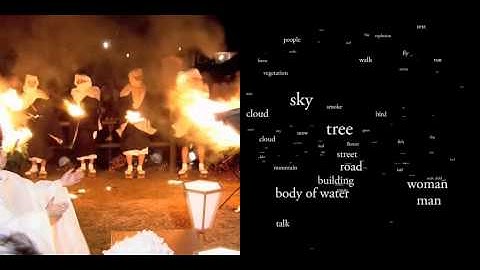 Supplemental Movie 1 for Huth et al., "Decoding the semantic content.."