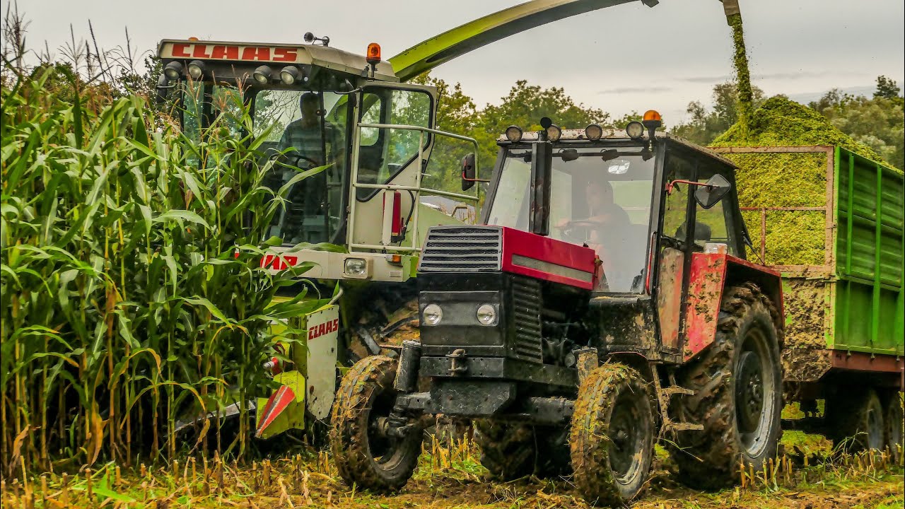 Двигатель мксм 800 zetor