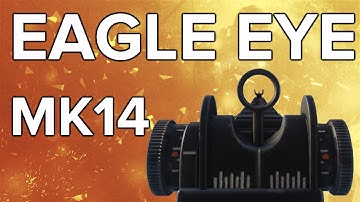 Advanced Warfare In Depth: MK14 Eagle Eye (Elite Variant Review)