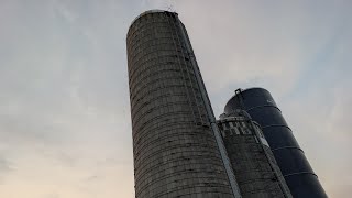 Putting corn silage in the silo for the first time in 19 years with forage harvest classics!