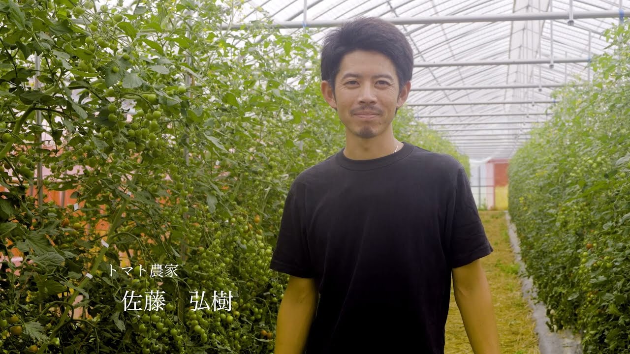 【福島県川俣町の農業 新規就農者インタビュー編】 ミニトマト農家 佐藤弘樹さん