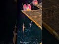 Innovative Squid Fishing System: Best Precision Night Hooking