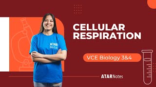Cellular Respiration | VCE Biology 3&4 screenshot 2