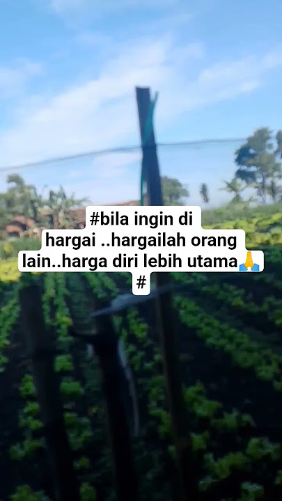 #harga diri lebih utama👍🙏#