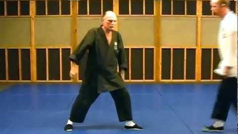 The Art of Effortless Power: Effortless Pushes in Slow Motion