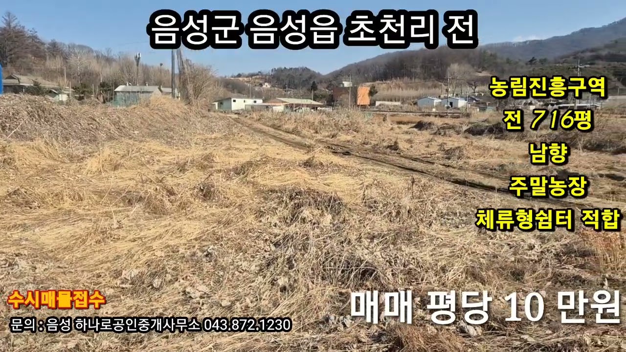 음성군 음성읍 초천리 전