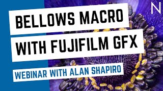 Dive on in, the macro’s fine: Bellows Macro with the Fujifilm GFX with Alan Shapiro