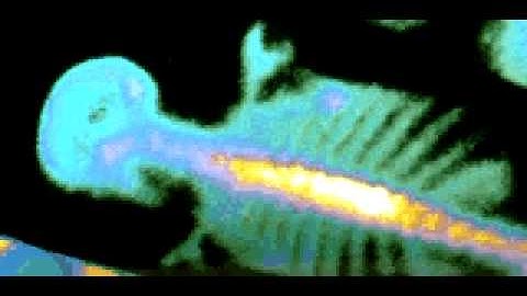 Command & Conquer: Tiberian Dawn - Nod Tiberium Info