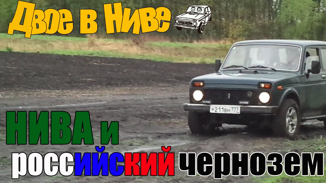 Прогноз погоды голубая нива