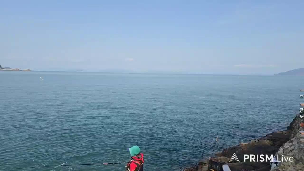 미조감성돔낚시  뉴스타. 금호조침.  조선생크릴