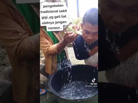 Video: Mencegah Reput Sarung Tanaman Padi – Cara Merawat Padi Dengan Penyakit Reput Sarung