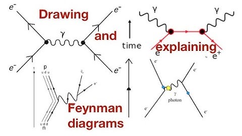 Feynman diagrams-a beginners guide in 6 minutes: from fizzics.org