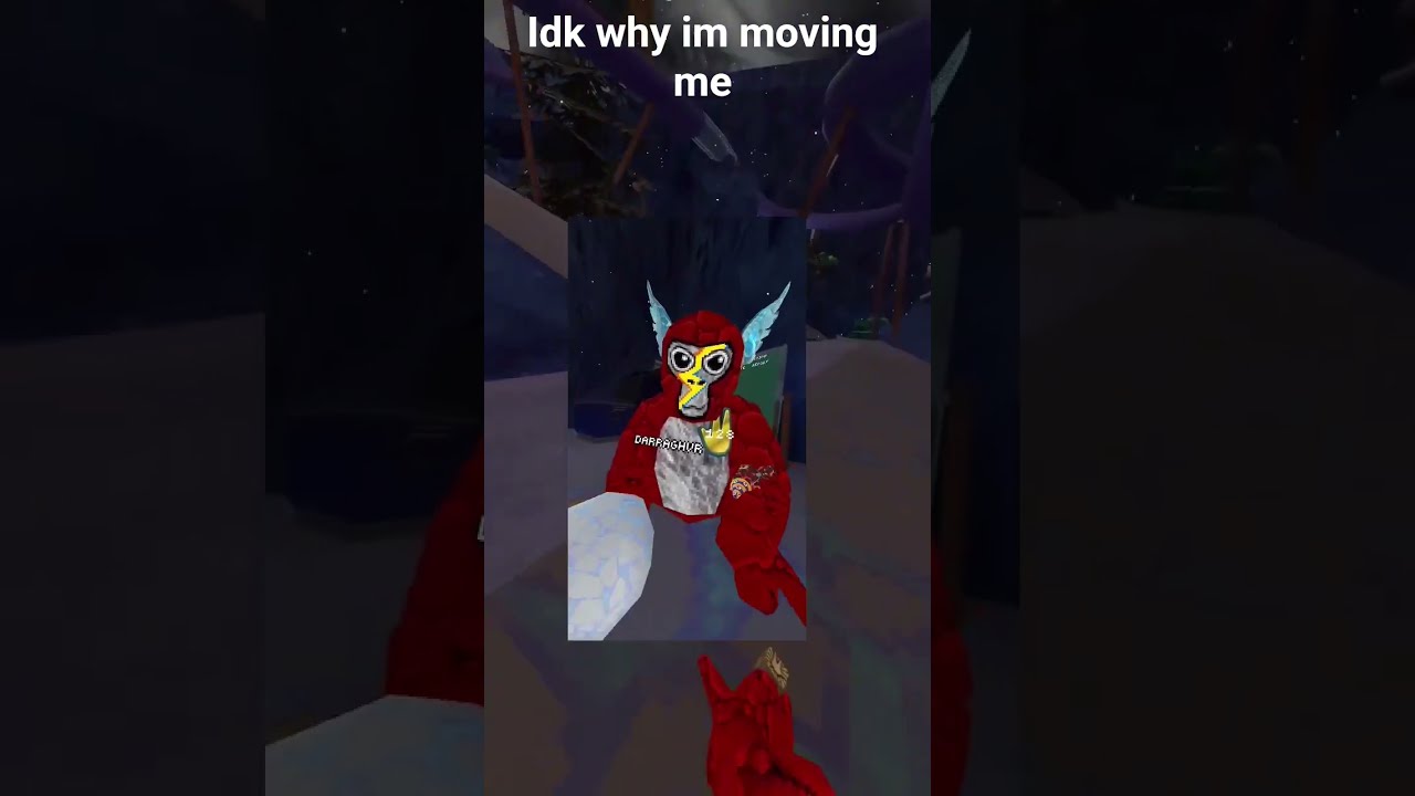 Im Starting Comatating Jmancurly Gtag Monkey Gorillatagquest Gorillatag