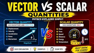 Scalars vs Vectors: The Difference You Must Know