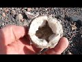 Geodes what they are how they form and more with geology professor shawn willsey