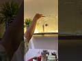#shorts #short #shortsviral #ytshortsindia #ytshort #ytviral #rentalhome #cleaning  #kitchencleaning