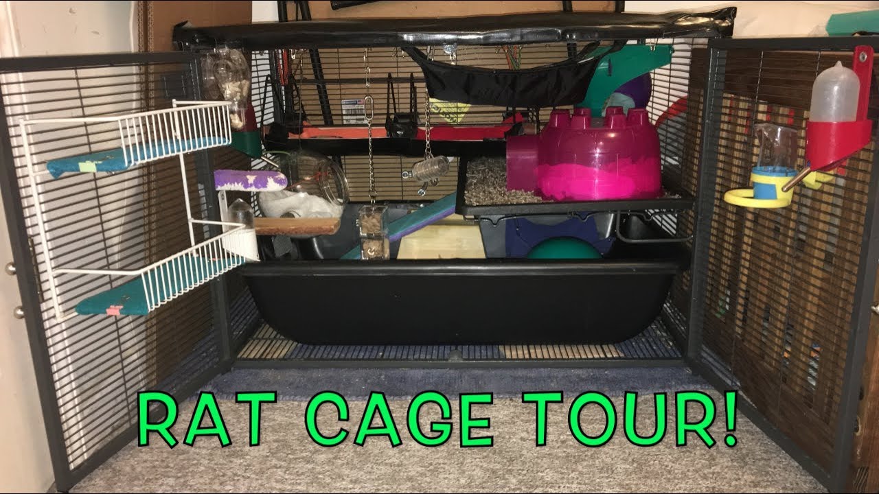 rat cage tour