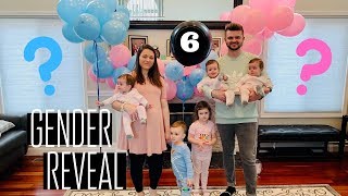 *EPIC* GENDER REVEAL! Baby #6!