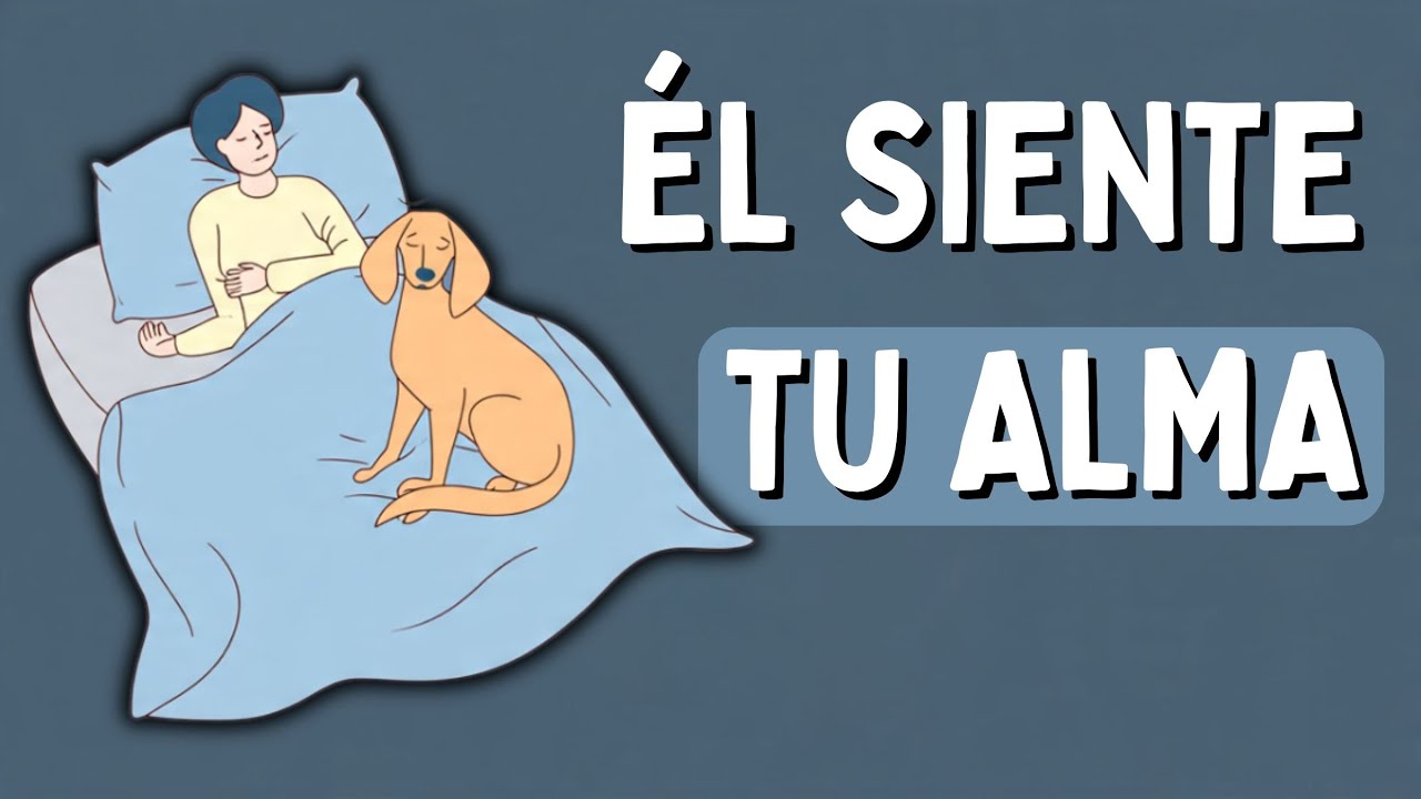 La psicología de las personas que duermen con sus animales