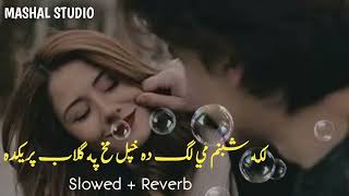 Laka Shabnam Mi Da Khpal Makh Pa Gulab Preda [ Slowed Reverb ] Pashto New 2026