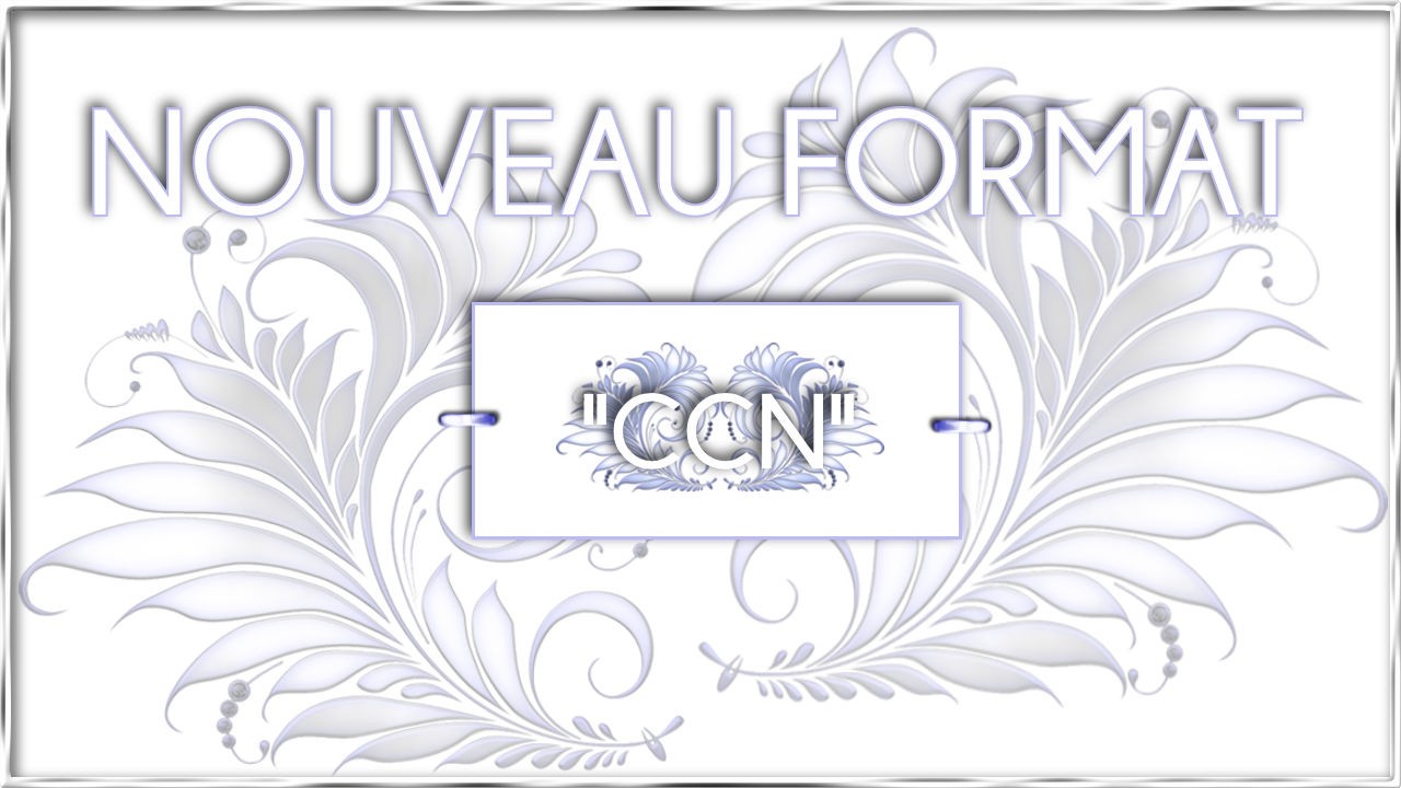 517 - NOUVEAU FORMAT LE CCN