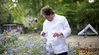 Download Lagu Groenten \u0026 Kruidentuin \ MP3