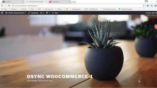 Dsync Mapping Tutorial