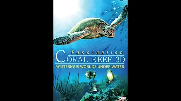 Official Trailer - FASCINATION CORAL REEF 3D - MYSTERIOUS WORLDS UNDER WATER (2012)