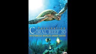 Watch Fascination Coral Reef: Mysterious Worlds Underwater Trailer