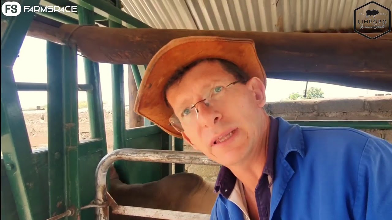 Marmering by die Fase D Toets in Polokwane