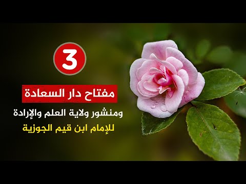 كتاب مفتاح دار السعادة ومنشور ولاية العلم والإرادة 3 الجزء الثالث والأخير