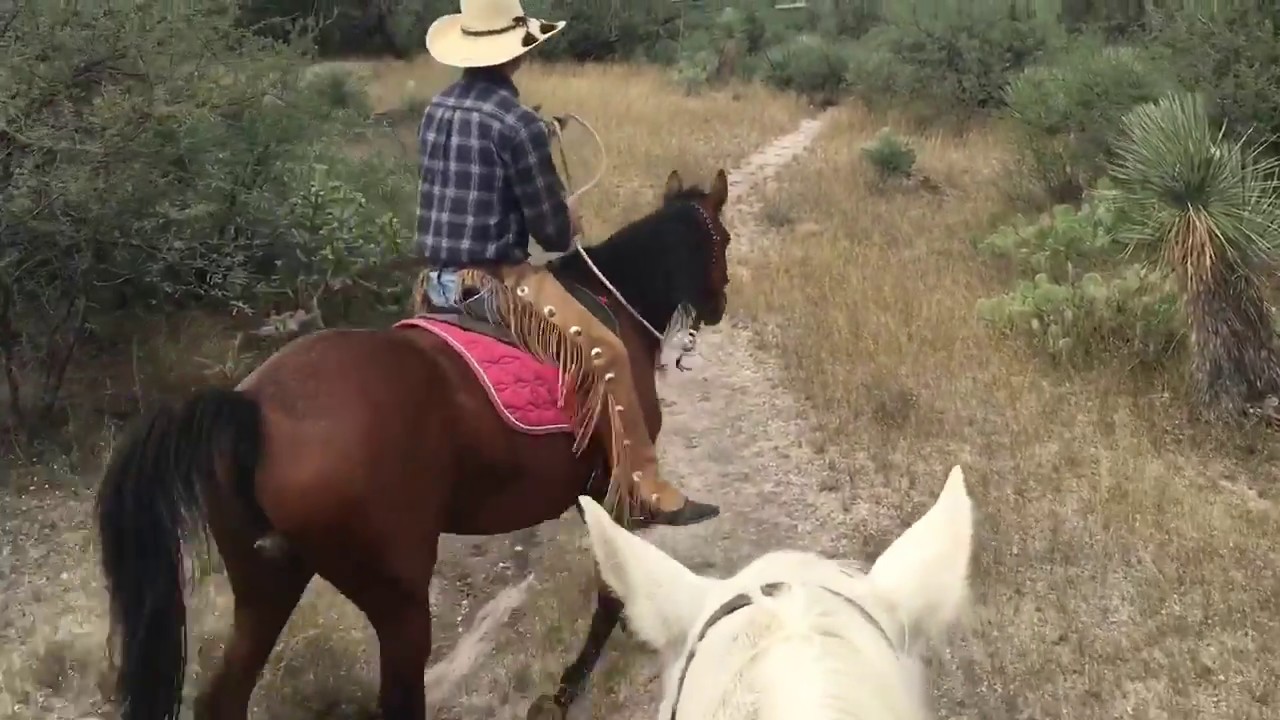 POST TRIM RIDE | Trail Riding in Arizona - YouTube