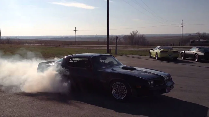 78 bandit Trans am burnout