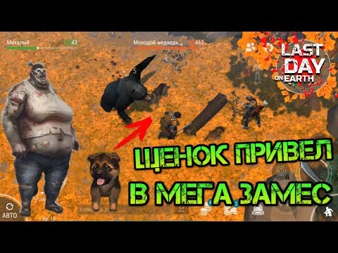 Медвежьи Знакомства На Qbear Ru