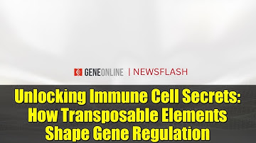 Unlocking Immune Cell Secrets: How Transposable Elements Shape Gene Regulation