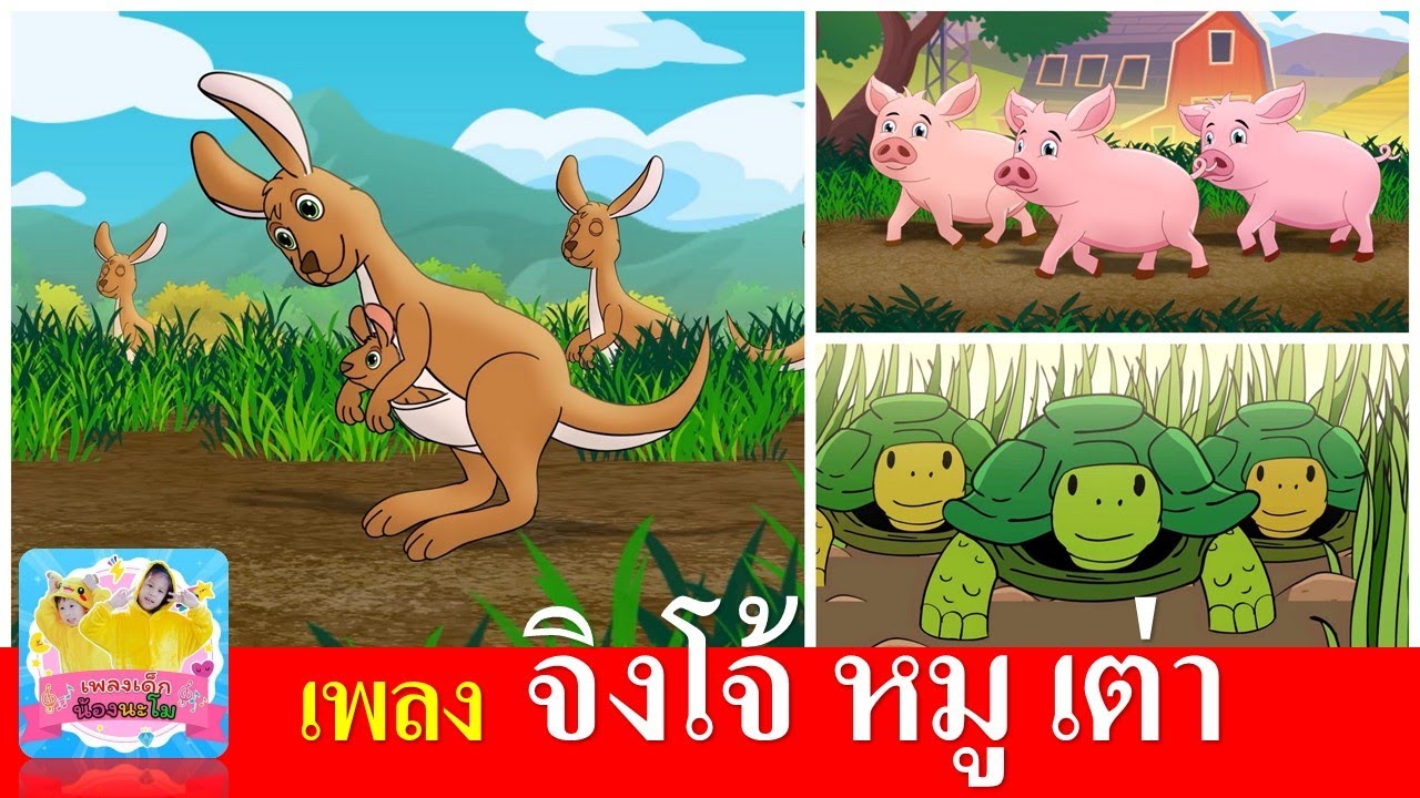 เพลงเด็กอนุบาล จิงโจ้ หมู เต่า | จิงโจ้กระโดด ดึ๋ง ดึ๋ง | หมู อู๊ด อู๊ด | เต่าเอ๋ยเต่า