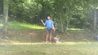 Per avere un cane educato devi essere un buon proprietario. by Empathy Dog 742 views 9 months ago 1 minute, 4 seconds