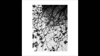 Explosions In The Sky - Wilderness