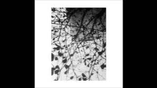 Explosions In The Sky - Wilderness