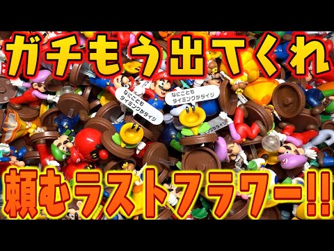 ガチもう出てくれ！頼むラストフラワー！！チョコエッグ