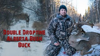 180+ Inch Northern Alberta Whitetail - Crazy Mass and 2 DropTines!!!