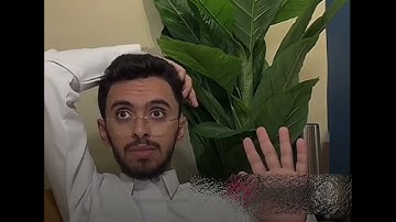 تلاوة من سورة البقرة||🌿 ابراهيم محمد 🌿