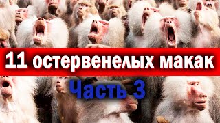 видео: Рожать, Если муж не хочет? Лишь бы не проверил.. картинка: Рожать, Если муж не хочет? Лишь бы не проверил..