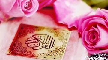 سورة غافر ~ الشيخ نعمة الحسان