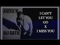 I cant let you go x i miss you  dj andrew feat ali gatie