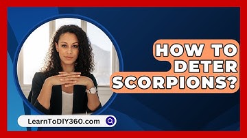 How To Deter Scorpions? - LearnToDIY360.com
