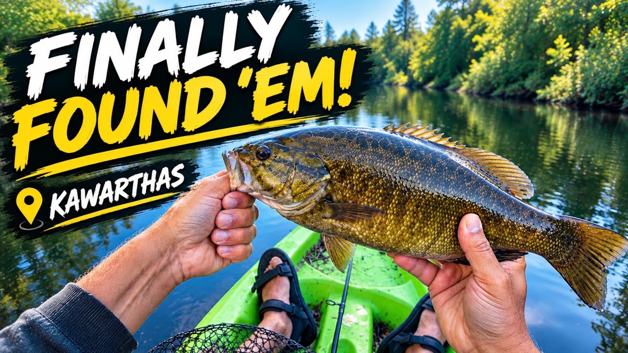 Finding Gull River Smallmouth Bass – Kawarthas Kayak Fishing with Worms and Senkos