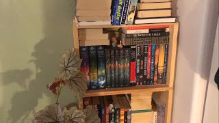 ASMR Bookshelf Tour - Whispering LoFi