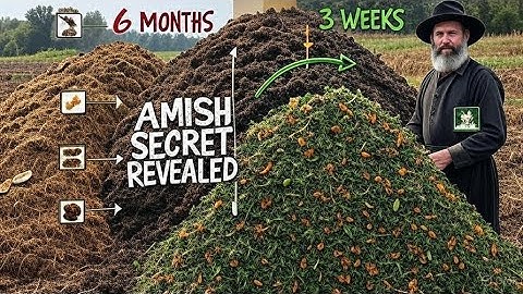 The Amish Composting Secret That Cuts Decomposition Time in Half